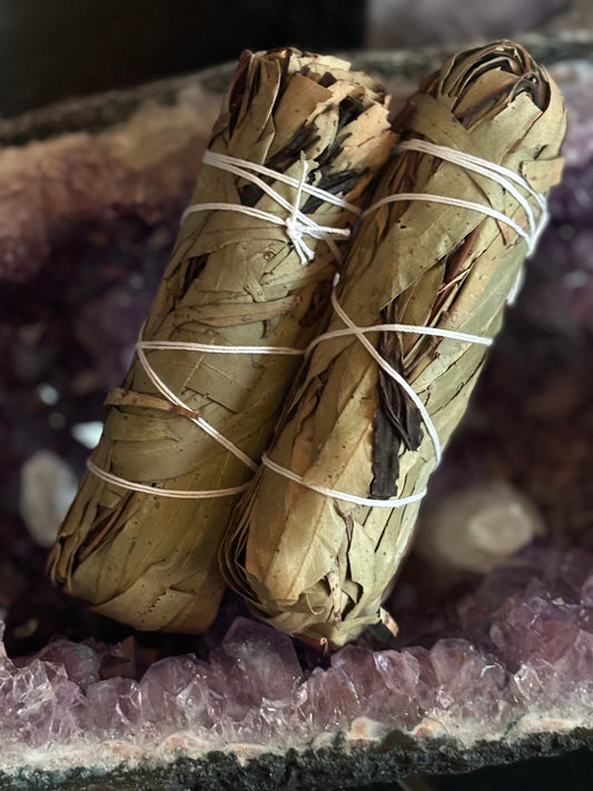 white sage eucalyptus smudging 